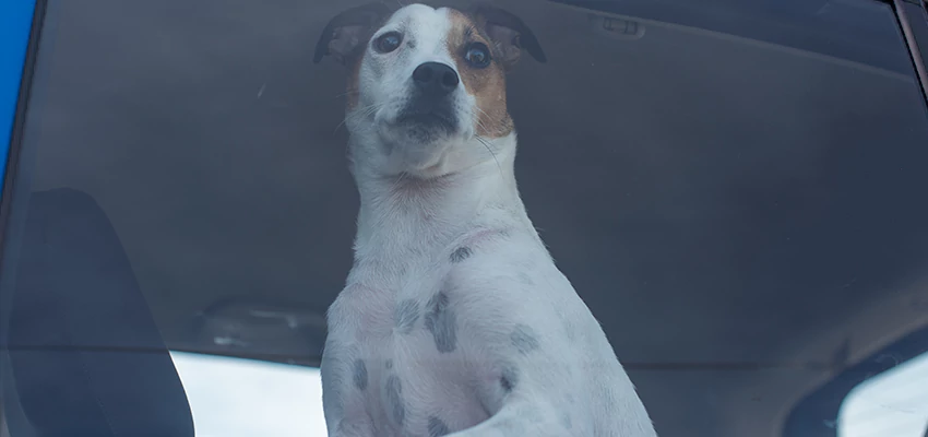 Car Lockout Solutions in East Pasadena, California